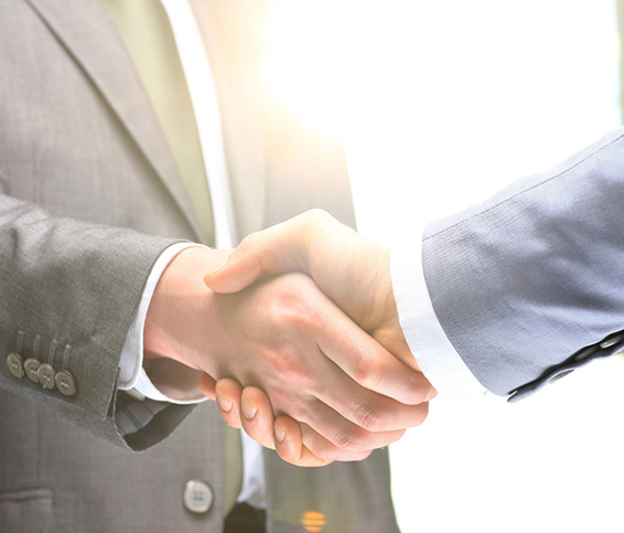 Types of commonly used softeners and their functions in rubber